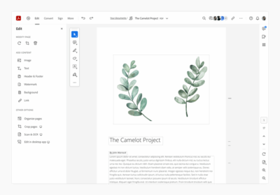 adobe acrobat pro screen