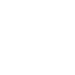 Apple Logo White