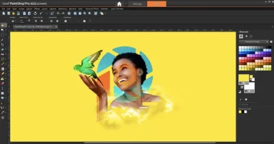 Corel PaintShop Pro 2022 - Image 4