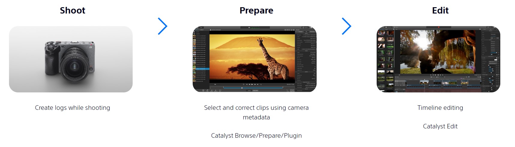 Sony Catalyst Workflow