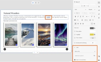 Adobe Captivate 12 Screenshot 3